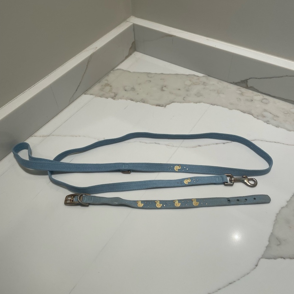 Blue Suede Dog Leash with Ducks and Rhinestones